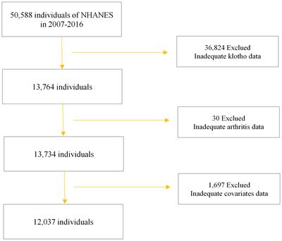 α-klotho reduces susceptibility to osteoarthritis: evidence from cross-sectional studies and Mendelian randomization